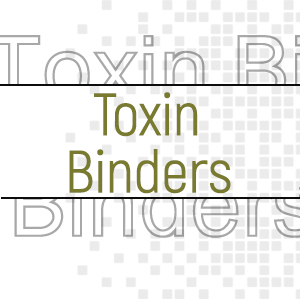 Toxin Binders